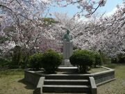 大崎公園の写真1