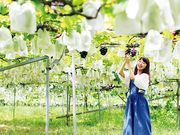 福田フルーツパークの写真3