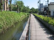 古隅田川緑道の写真1
