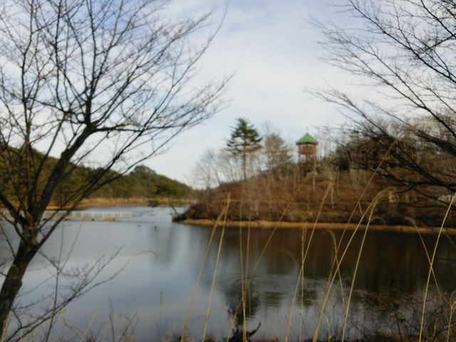 村民の森あいの沢の写真2