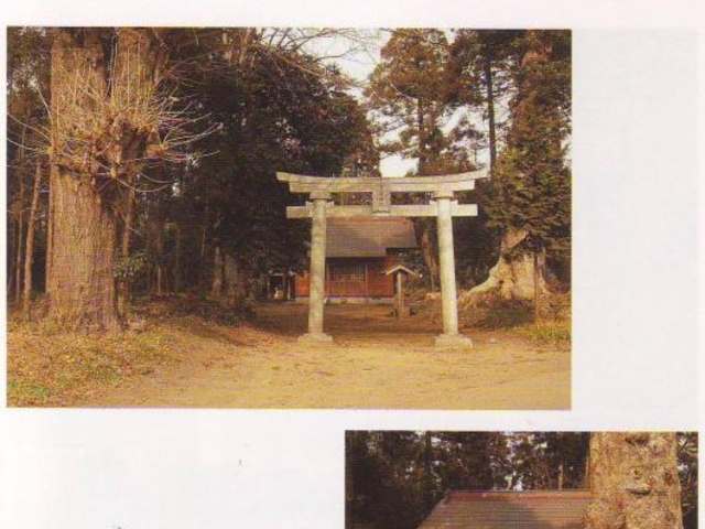 星宮神社