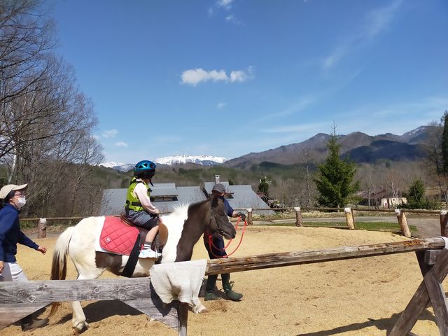 ポニーも飼育し、引馬乗馬や乗馬レッスンも開催しています(じゃらんでは引馬乗馬のみ予約可能)_奥飛騨山之村牧場