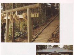 白幡神社の写真1