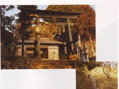 春日神社の写真1
