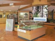 自然観察館「ハロー白神」の写真2