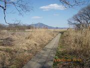 小貝川自然散策路の写真1