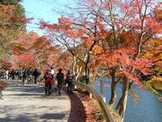 鎌北湖の紅葉の写真1