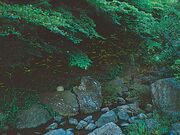 泉谷公園の写真1