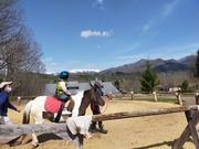 奥飛騨山之村牧場の写真2