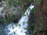 東の滝の写真2