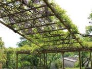 六所神社の写真2