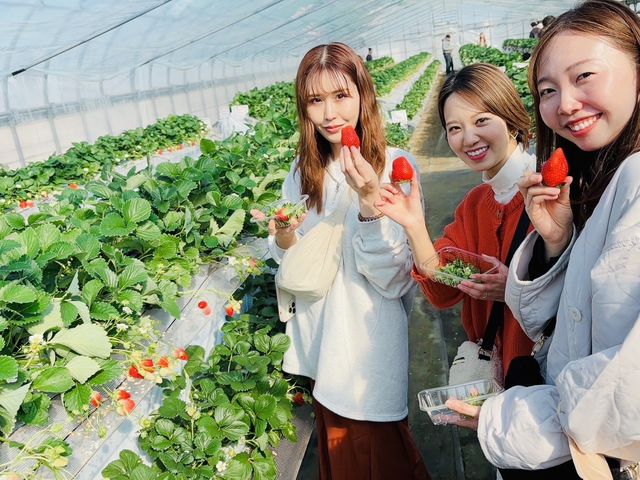 家族で友達同士で女子会でみんなでワイワイ楽しめます!_小山ファーム