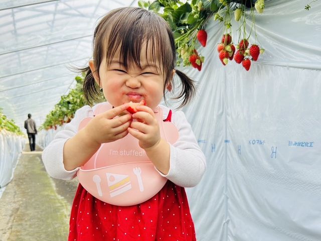こ〜んなお顔にさせる美味しいイチゴを食べられます!_小山ファーム