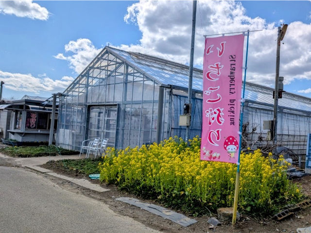 緑川苺園の写真1
