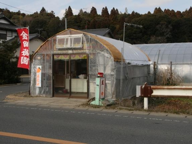 金田苺園の写真1