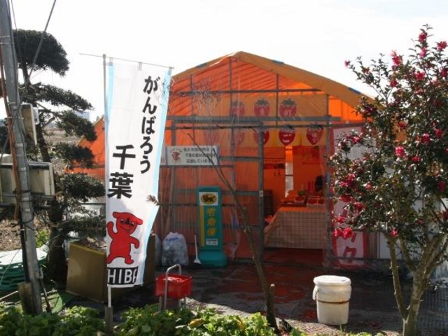 窪原苺園