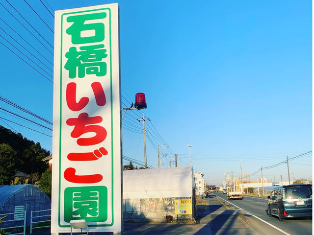 摘んだイチゴを国道126号沿いの直売所にて販売もしております。_石橋苺園
