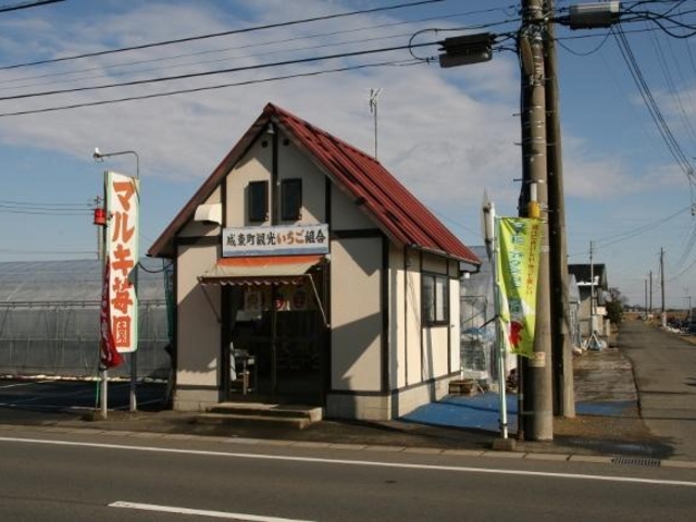マルキ苺園の写真1