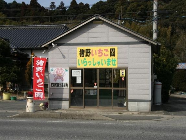 猪野苺園の写真1