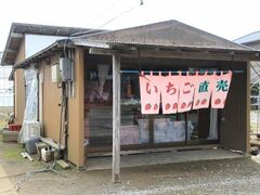 鈴木苺園の写真1