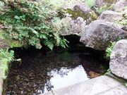 弁財天(畑谷)の写真2