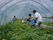 フォレストパーク メロンの森の写真3