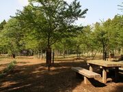 富田みどり里山公園の写真2