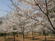富田みどり里山公園の写真3
