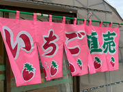 鈴木苺園の写真4