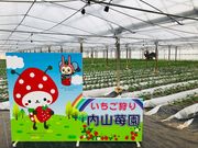 内山苺園の写真3