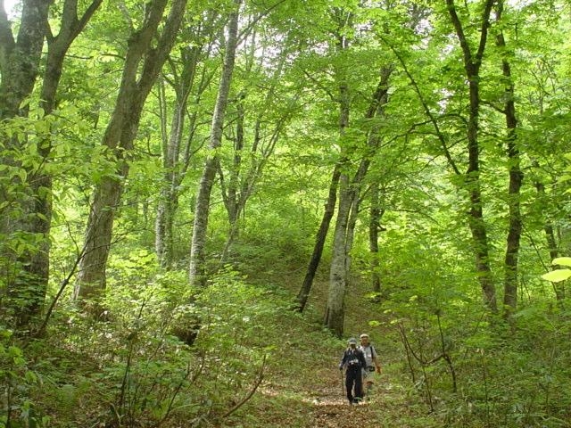 夏油高原の山歩きの写真1