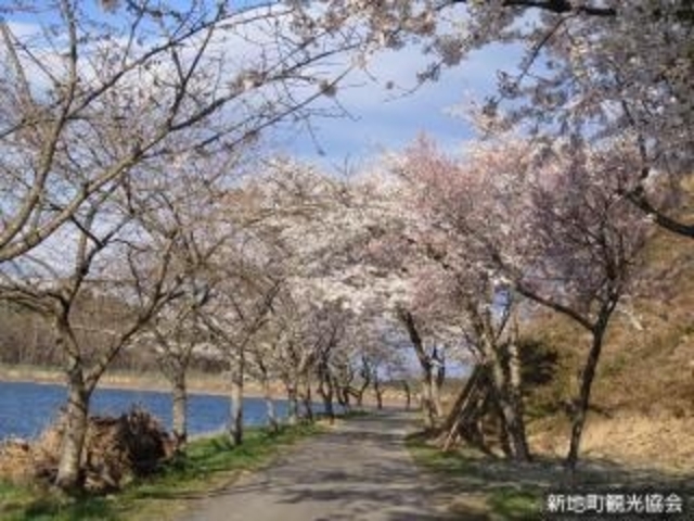右近清水_右近清水