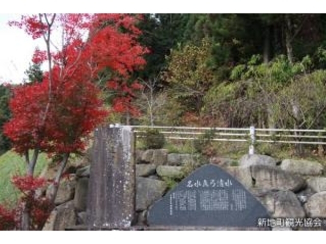 真弓清水の写真1