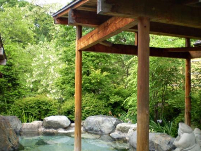 原点回帰の湯 ささの湯の写真1