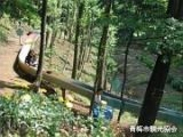 花木園_花木園