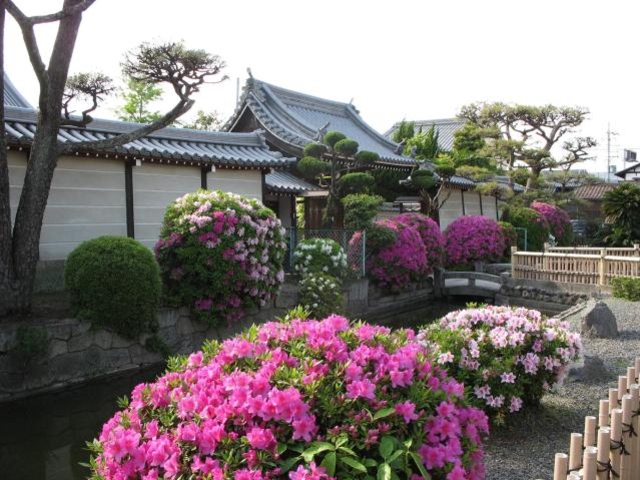 名称寺の写真1