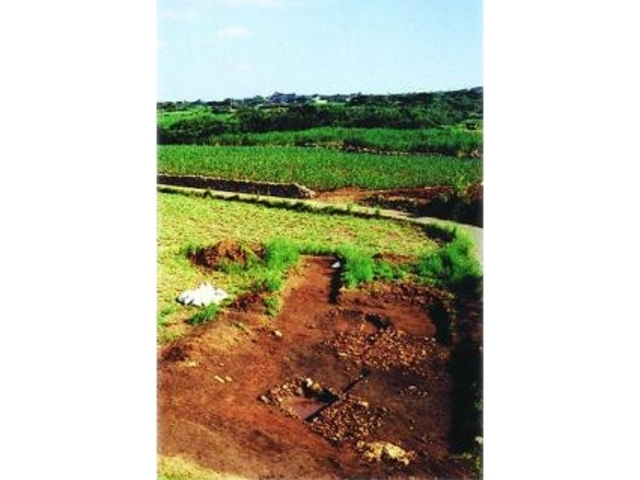 住吉貝塚の写真1