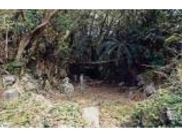 屋子母セージマ古墳跡の写真1