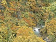 夏油高原の写真1
