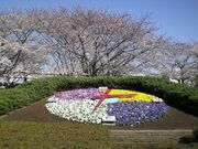 小菅西公園の写真1