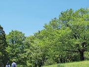 狭山丘陵の都立公園「八国山緑地」の写真2