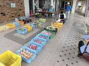 東大和市役所【直売所】の写真2