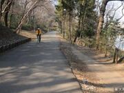 都立狭山公園の写真1