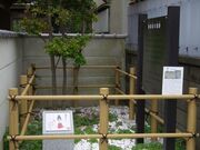 静御前の塚の写真1