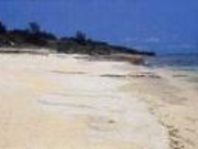 大津勘海岸ビーチロックの写真1