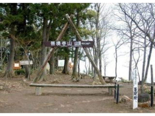菩提寺山_菩提寺山・菩提寺山登山口(大沢公園)