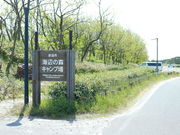 海辺の森キャンプ場の写真2