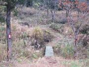 刈羽黒姫山・折居登山口の写真2