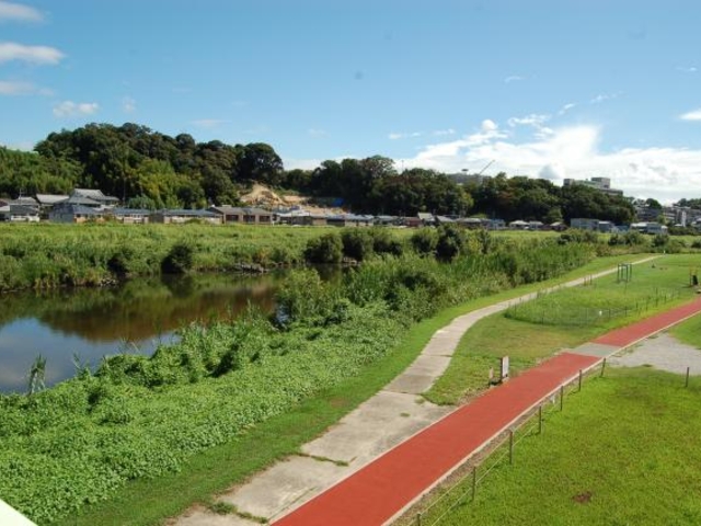 大和川ふれあい広場の写真1