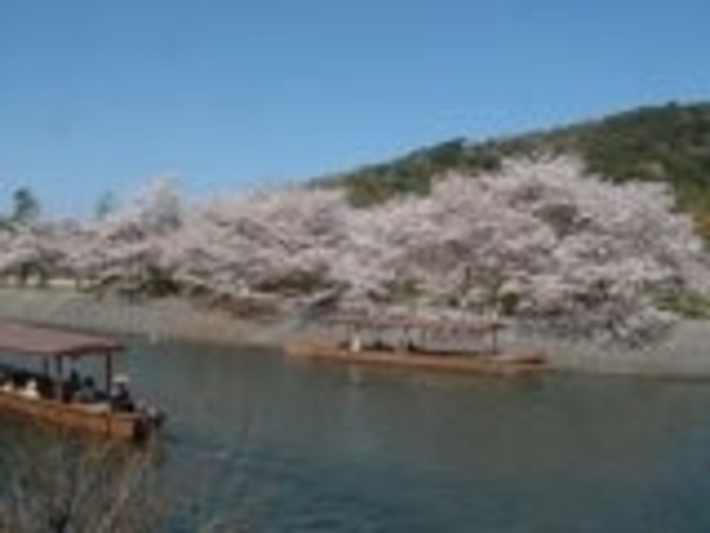 京都府立宇治公園(塔の島・橘島)の写真1